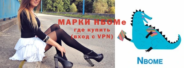 стафф Ельня