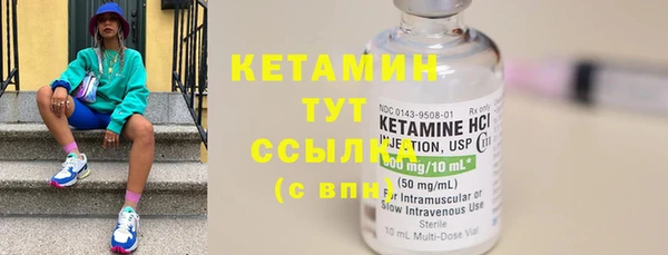 стафф Ельня