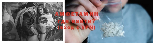 стафф Ельня