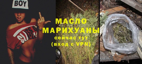 стафф Ельня