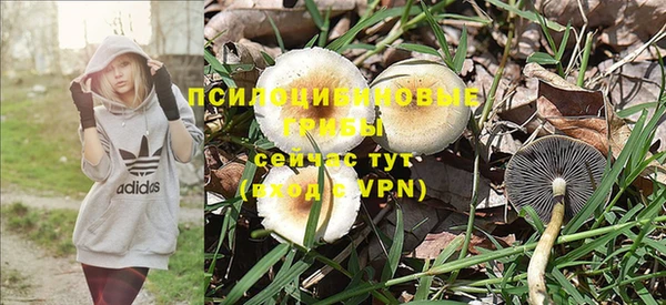 ALPHA PVP Елабуга